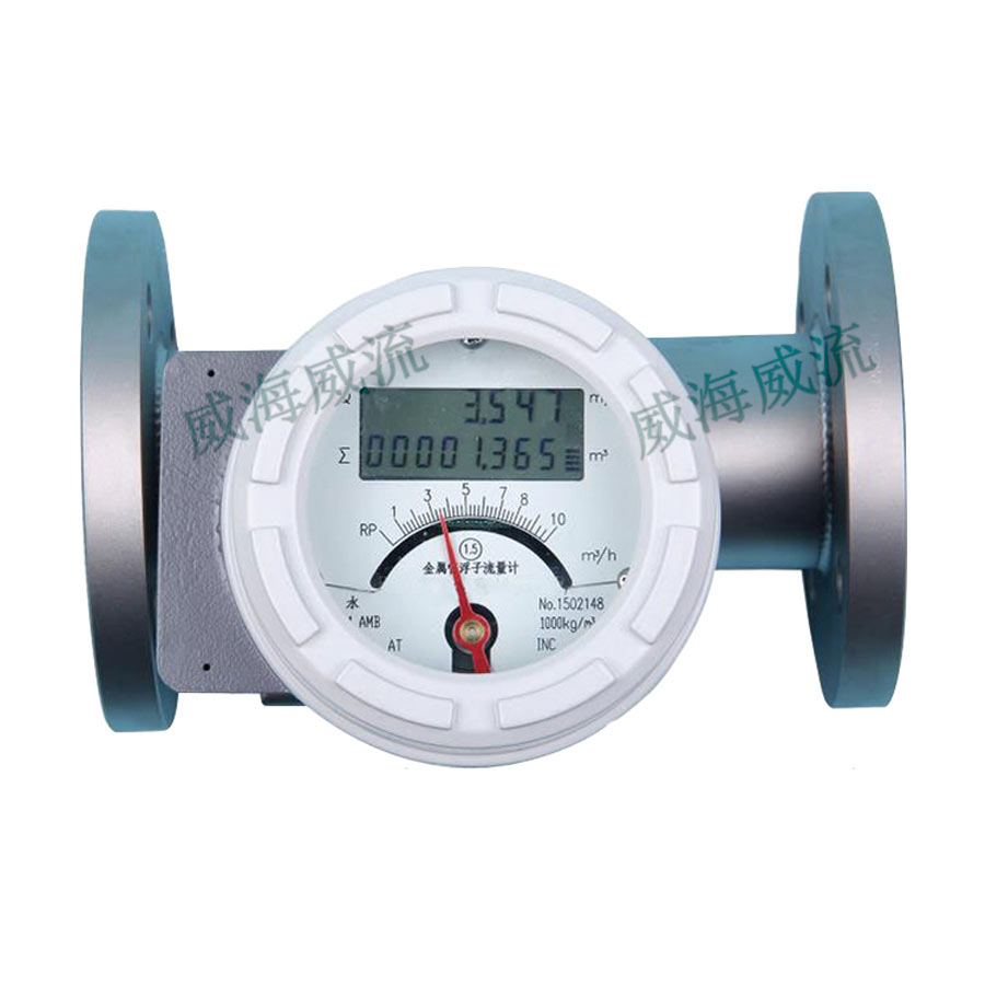 法兰连接式2--金属转子流量计